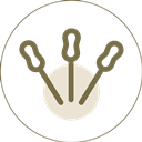 Acupuntura Sistêmica